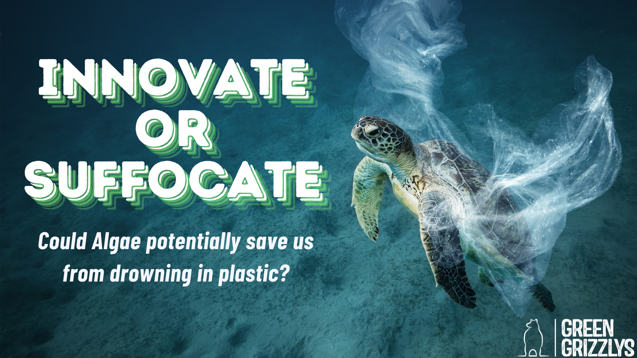 INNOVATE OR SUFFOCATE: Could Algae potentially save us from drowning in plastic?